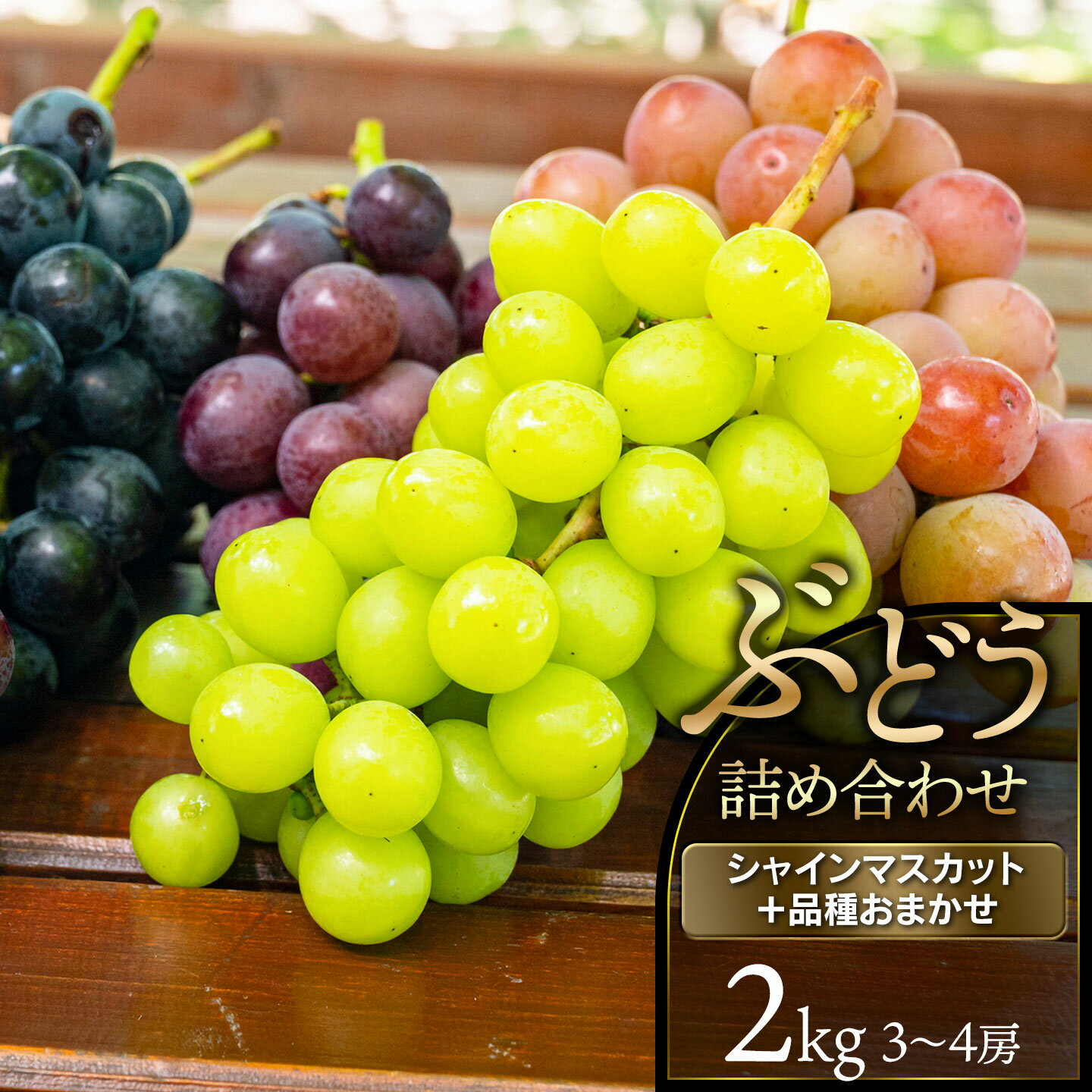 【ふるさと納税】【令和8年産先行予約】ぶどう詰合せ（品種おまかせ）2kg（3～4房）シャインマスカット＋［安芸クイーン・クイーンニーナ・ピオーネ・巨峰・富士の輝き(ブラックシャインマスカット)］の中からいずれか　鶴岡中央青果 | 山形県 鶴岡市 果物 葡萄 産地直送