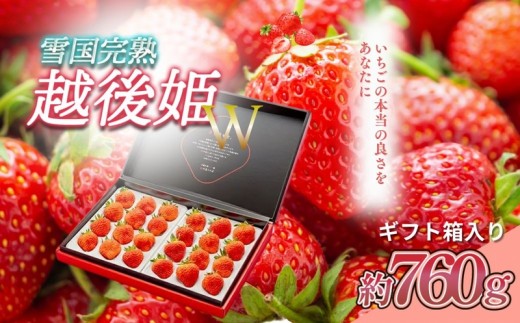 
                  先行予約  いちご 新潟 雪国完熟越後姫ダブル（約760g）ギフト箱入り イチゴ 苺 フルーツ お取り寄せ 贈り物 上越 苺の花ことば
                