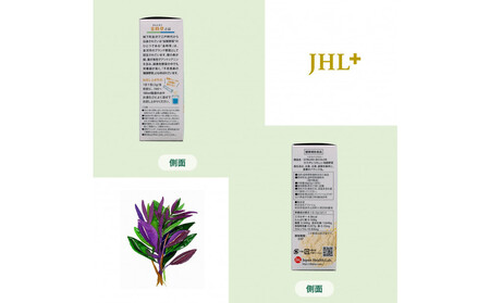 金沢ブランド野菜 カラダにうれしい加賀野菜 「金時草」 1箱（30本）