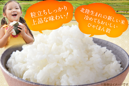 米 令和7年産 ひゃくまん穀 精米 10kg