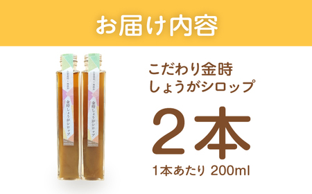 こだわり金時しょうがシロップ 200ml×2本 ギフトセット / 恵那市 / てらぼら農園 [AUDZ001]