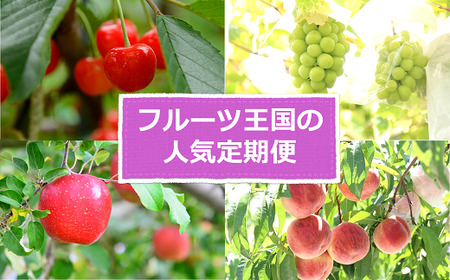 【令和8年産先行予約】 《定期便5回》 フルーツ王国の人気便 『フードシステムズ』 さくらんぼ 桃 シャインマスカット りんご 果物 フルーツ 山形県 南陽市 [2264-R8]