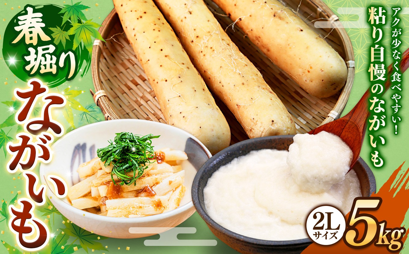 
                  H-09 春掘り！ ながいも 2Lサイズ 5kg ｜ながいも いも 芋 長芋 野菜 やさい 長いも 芋 とろろ 千切り 万能 根菜 常温 人気 美容 健康 腸活 味噌汁 天ぷら 色白 粘り あくの少ない 株式会社 ゆめグリーン Aコープ 六戸店 青森県 六戸町
                