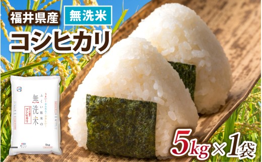 【選べる容量】令和7年産 福井県産コシヒカリ【無洗米 5kg×1袋】 / 米 こめ お米 コメ ごはん ご飯 飯 七年 7年産 5kg 10kg 1袋 2袋 無洗米 白米 単一米 ブランド [A-014022]