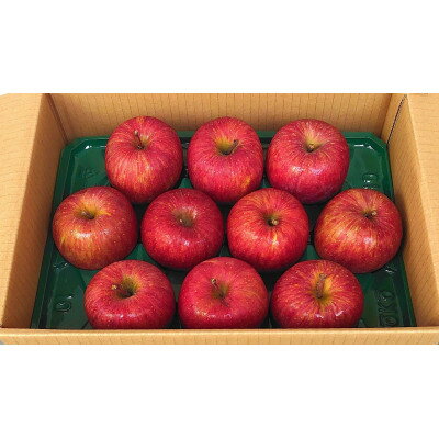 【ふるさと納税】青森県産りんご 3kg(1箱※7～12個入り)【1672875】