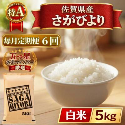 ふるさと納税 江北町 【毎月定期便】さがびより白米5kg(江北町)全6回