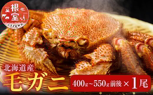 
            B-70021【12/21まで年内配送】 毛かに400g前後～550g前後×1尾
          