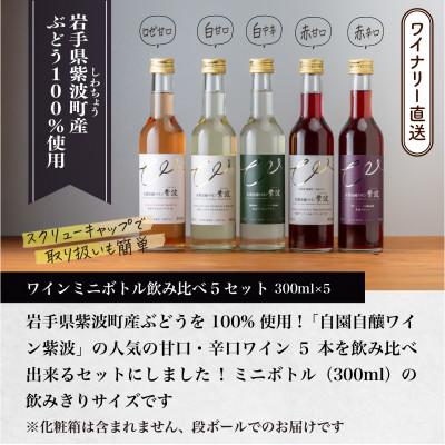 ふるさと納税 紫波町 【自園自醸ワイン紫波】ワインミニボトル飲み比べ5本セット |  | 03