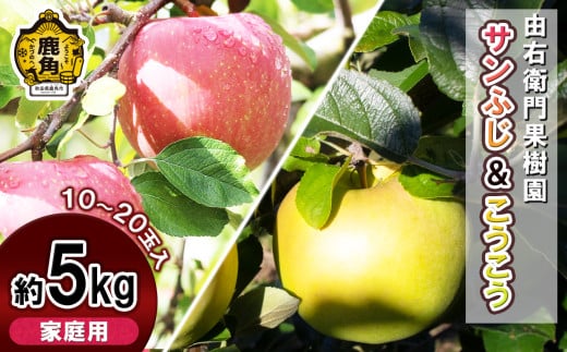 《先行予約》由右衛門果樹園 りんご 家庭用「 サンふじ ＆ こうこう 」 約5kg（10～20玉）●2025年11月下旬発送開始 【由右衛門果樹園】果汁 リンゴ 完熟 お中元 お歳暮 贈り物 グルメ 秋田 あきた 鹿角市 鹿角 送料無料