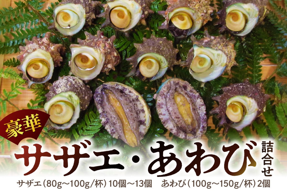 
            豪華サザエ・あわび詰合せ【本田商店】 海鮮 貝 ふるさと納税 サザエ あわび 鮑 詰め合わせ セット BBQ バーベキュー 【033_0134】
          