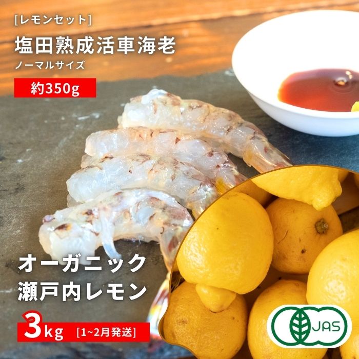 【ふるさと納税】オーガニック瀬戸内レモン 3kg(1~2月発送) / 塩田熟成活車海老 ノーマルサイズ 350g(11~2月) オーガニック 有機レモン 有機JAS 果汁100% レモン えび エビ エビフライ 晩酌 国産 瀬戸内 濃厚 免疫力向上 健康 ビタミンC クエン酸 抗酸化 ソーダ 炭酸水