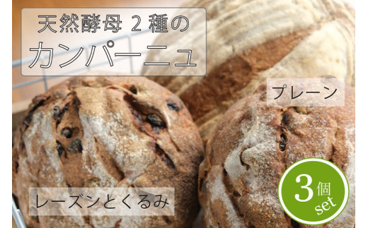 黒姫高原『パン小舎（pangoya）のカンパーニュ＆レーズンとくるみのパン  3点詰め合わせ』自家製天然酵母パン｜長野県産ゆめかおり使用【長野県信濃町ふるさと納税】