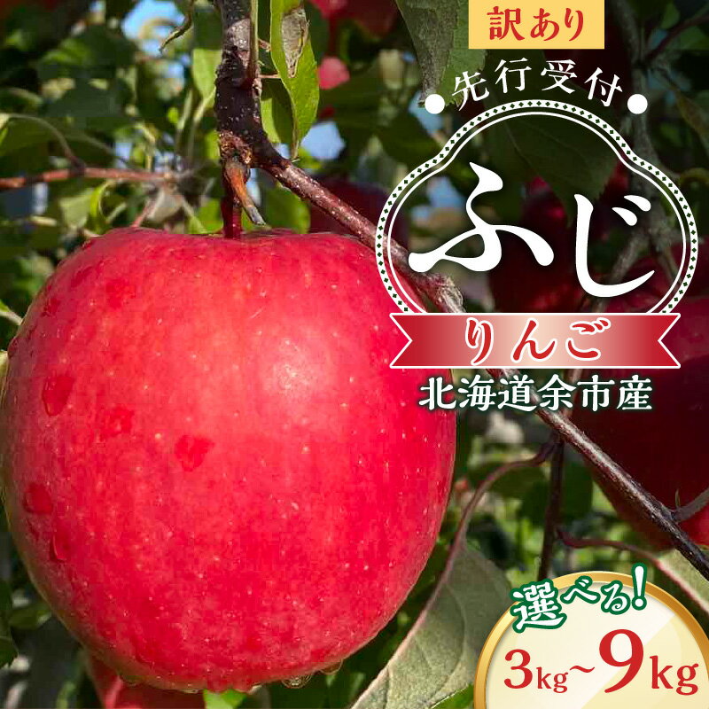【ふるさと納税】＼ 内容量が選べる ／ 訳アリ 蜜入り 高糖度 りんご（ふじ） 北海道余市町産 【先行予約：2025年11月上旬より発送】パリッとジューシー 北海道産 りんご予約 北海道りんご 蜜入り 高糖度 酸味 甘味 バランス 果肉 果物 フルーツ 旬 北海道 余市町 送料無料
