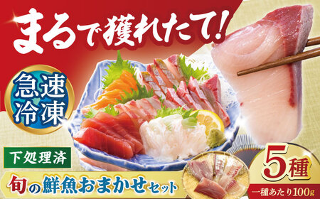 【五島の旬】下処理済み 超速冷凍 鮮魚 5種 柵 セット 旬 魚 冷凍 真空 刺身 五島市 / 金沢鮮魚[PEP018]