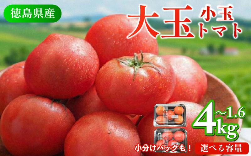 
                  トマト 1.6kg ～ 4kg 選べる 容量 小玉 大玉 とまと 4月～6月発送 野菜 やさい 国産 産地直送 数量限定 旬 徳島県産 tomato サラダ おすすめ 徳島県
                