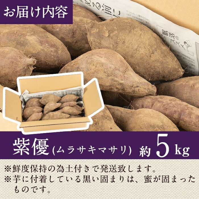 【数量限定】紫芋 加工用さつまいも紫優(5kg) 芋 さつまいも 紫芋【瀬崎農園】A418-v01