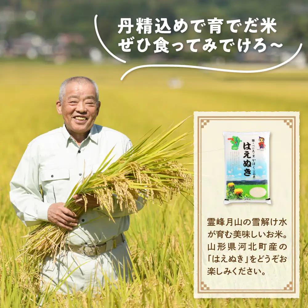 米 はえぬき 10kg 令和7年産 8月下旬発送 山形県産 米 はえぬき
