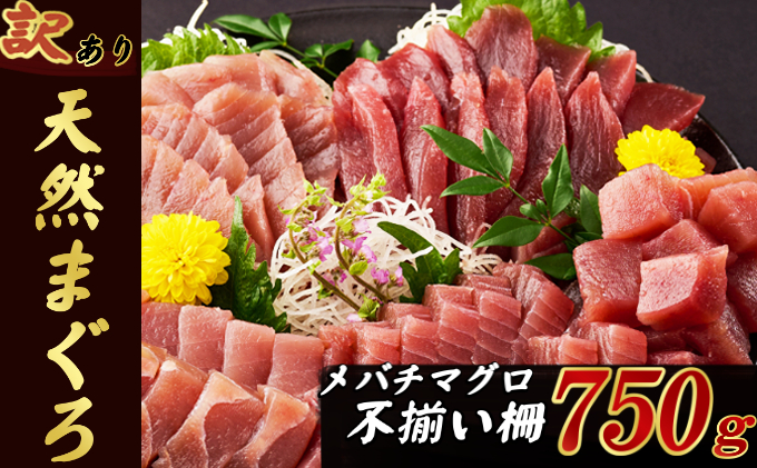 【訳あり】天然メバチマグロ 750ｇ (不揃い柵)　サク 柵 メバチ 目鉢 マグロ 鮪 まぐろ 100% 冷凍 刺身 海鮮 丼 刺し身 小分け 高知 室戸 10000円