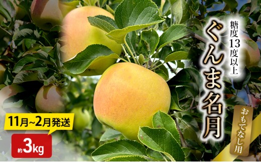 
                  [№5554-0358]りんご【11月～2月発送】糖度13度以上 ぐんま名月 おもてなし用 家庭用 約3kg【青森りんご】
                