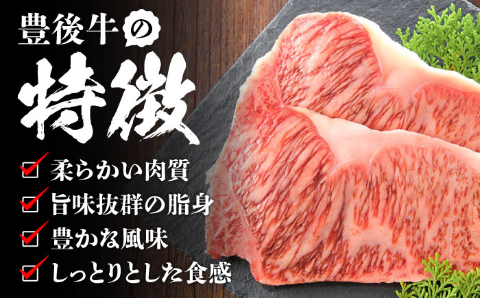 【全12回定期便】おおいた豊後牛 サーロインステーキ 250g (250g×1枚) 日田市 / 株式会社MEAT PLUS　肉 牛肉 和牛 [AREI055] 【全12回定期便】
