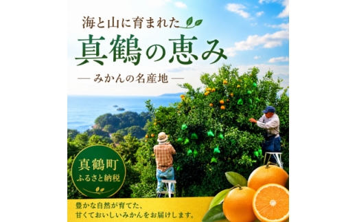 温州みかん5kgと農家の自家製マーマレード★甘味と酸味の良バランスと濃厚な香りが特徴です＜先行受付＞【1762630】