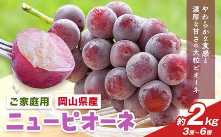 【先行予約】岡山県産 ご家庭用 ニューピオーネ詰合せ 計2kg 株式会社はちや《8月下旬-9月下旬頃出荷》送料無料【配送不可地域あり】