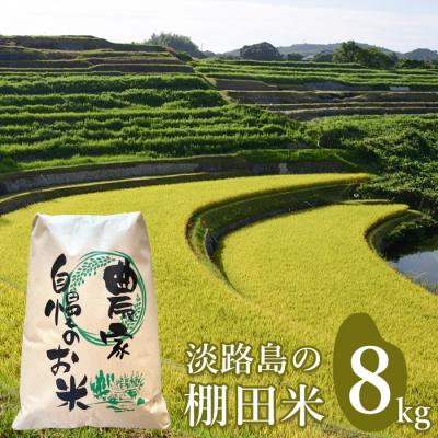 ふるさと納税 淡路市 淡路島の棚田米 8kg　ae01061
