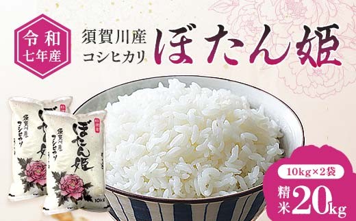 令和7年産 須賀川産コシヒカリ「ぼたん姫」精米 20kg ブランド米 お米 白米 人気 F7X-0653
