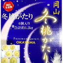 【ふるさと納税】桃 2025年 先行予約 岡山県産 白桃 冬桃がたり 6個入り 約1200g もも モモ 岡山県産 国産 フルーツ 果物 ギフト 　お届け：2025年11月25日～2026年1月7日