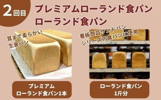 【3ヵ月定期便】小松産大麦食パンと月替わり食パンたちセット 朝食 食べ比べ 3ヶ月 3か月 3回 | 石川県 小松市【有限会社パンあづま屋】