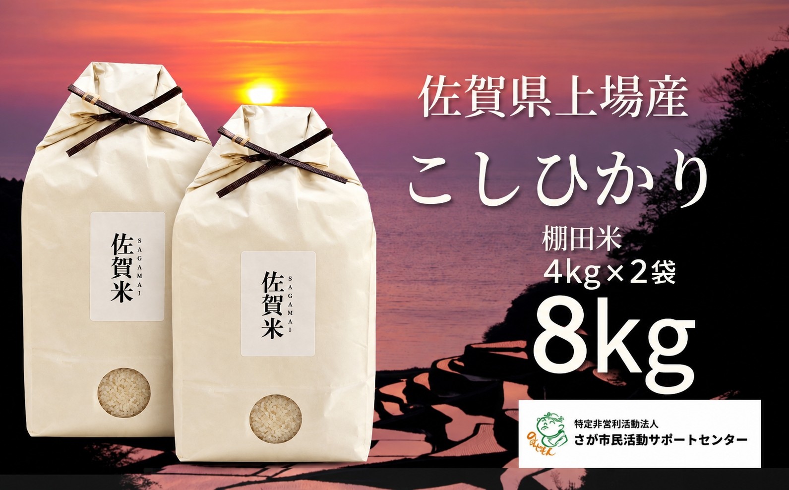 
                  佐賀県上場産こしひかり8kg
                