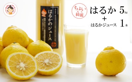 完熟 はるか 5kg はるか ジュース 1L 1本 セット 無添加 果汁 100% 柑橘 果物 国産 フルーツ 有名 愛媛 みかん 蜜柑 ブランド オレンジ 愛媛県産 果実 ビタミン 美味しい 発送期