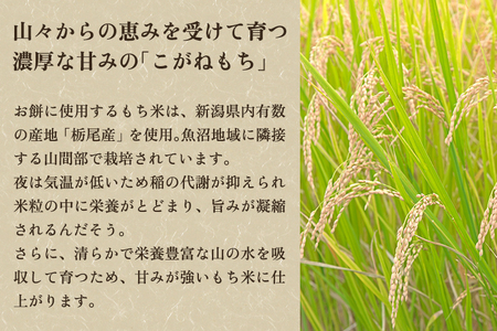 【2025年予約】餅 杵つき黄金餅 MIX 約1kg《12月上旬～順次出荷》 新潟県産こがねもち米 保存料不使用