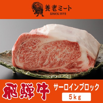飛騨牛 サーロインブロック 5kg【配送不可地域：離島】【1622929】