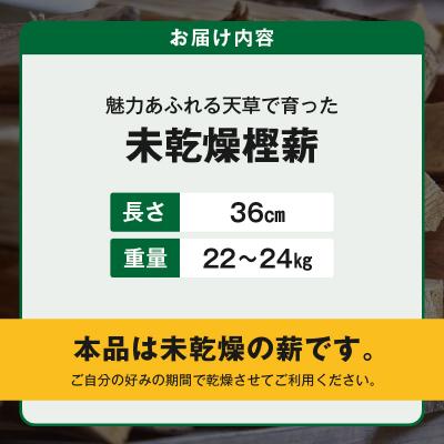ふるさと納税 天草市 魅力あふれる天草で育った未乾燥樫薪(天樫　長さ36cm　22〜24kg)_S163-008 |  | 03
