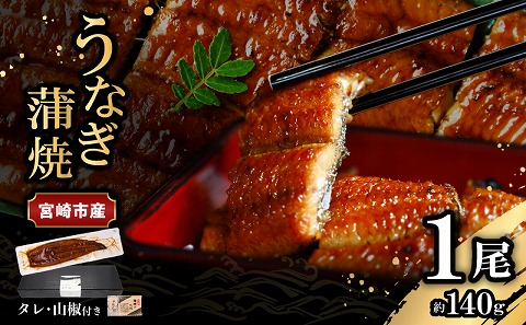 宮崎県宮崎市産　うなぎの蒲焼　約140g（約140g×1尾）タレ・山椒セット 国産 うなぎ 蒲焼き 1尾 鰻 ウナギ 蒲焼 うなぎ蒲焼 うなぎ蒲焼き タレ 山椒 冷凍 パック 電子レンジ レンジ ひつまぶし 鰻巻き 惣菜 お惣菜 おかず 化粧箱 化粧箱入り 父の日 母の日 丑の日 土用の丑の日 ギフト グルメ お取り寄せ_M325-001