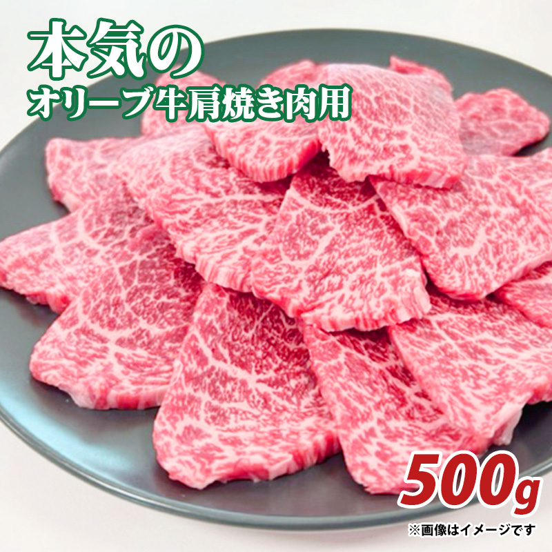 【ふるさと納税】本気のオリーブ牛肩焼肉用500g  秋 旬