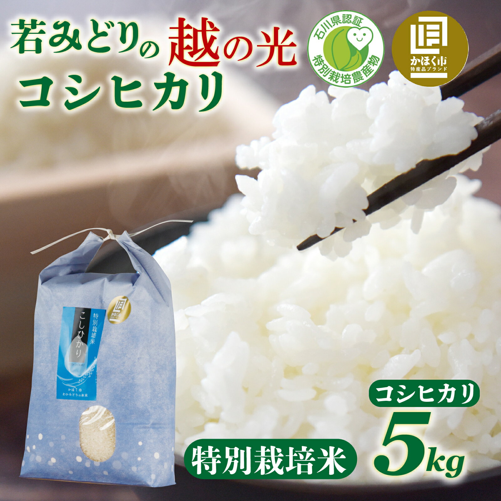 【ふるさと納税】 若みどりの こしひかり 5kg / コシヒカリ お米 米 こめ コメ 白米 ご飯 5キロ 若緑産 特別栽培米令和7年産 単一原料米 国産 食品 常温 お取り寄せ 送料無料
