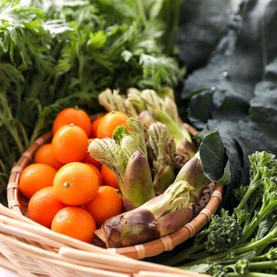 ふるさと納税 庄内町 【6か月定期便】新鮮野菜 産直施設「あっでば」直送【6月中旬発送】 |  | 02