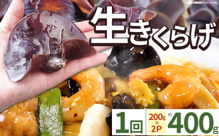 【先行予約】【期間限定】生きくらげ 200g×2P ともちゃん農園 | きくらげ 生きくらげ 食物繊維 鉄分 カルシウム ビタミンD カリウム アミノ酸 低カロリー ダイエット中でも安心 高血圧予防 ふるさと 納税 栃木県 那珂川町 送料無料