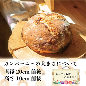 カンパーニュ 1ホール 果物 ナッツ入り パン 天然酵母 徳島県 阿波市 