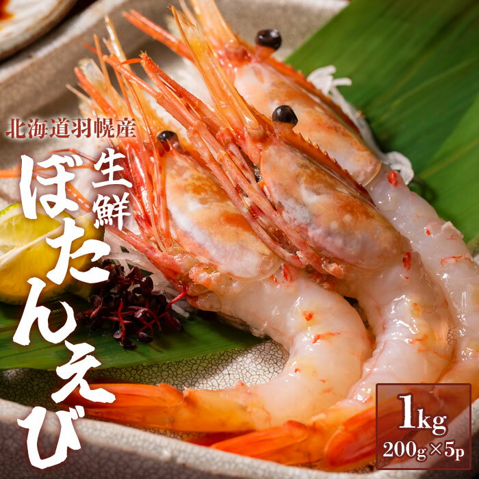 【ふるさと納税】ぼたんえび 1kg えび エビ 海老 ボタンエビ ぼたん海老 200g 5パック 1キロ 新鮮 海鮮 小分け 人気 エビカニ 甲殻類 超速リキッド凍結 冷凍 海産物 魚介類 刺身 丼 北海道 羽幌町 羽幌 ふるさと納税【03119】