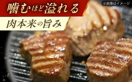 【極上の赤身肉】シャトーブリアン ステーキ 長崎和牛 計300g (150g×2枚)【肉のマルシン】[QBN058]