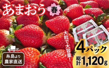 【先行予約】【農家直送！】糸島産 春 あまおう 280g × 4パック (DXおよびGサイズ) 【2026年1月下旬以降順次発送】糸島市 / 後藤農園 [AML002] いちご 福岡