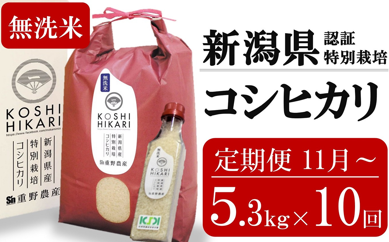 
            新米先行予約【10ヶ月定期便・11月～発送】コシヒカリ 無洗米 5kg（ペットボトル米 300g 1本付き）×10回 （計 53kg）重ちゃんのお米 令和7年産 [Y0081]
          