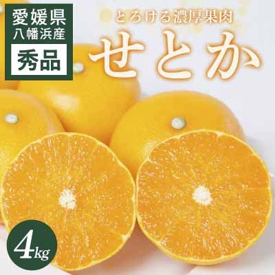 
                  【先行受付】 せとか 4kg 愛媛県 八幡浜市 西宇和地区 とろける濃厚果肉 柑橘の女王＜E25-326＞【1714494】 YWTAP267
                