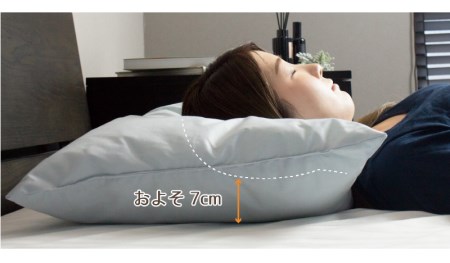　アース製薬と共同開発！防ダニ枕【Dani Not】ポリエステルわた　43×63㎝ 15-27