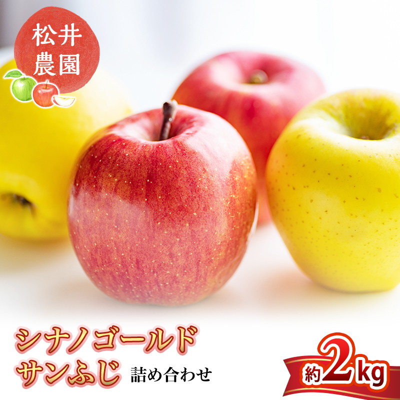 りんご サンふじ シナノゴールド 詰め合わせ 約2kg フルーツ 果物 甘い 林檎 セット