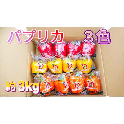 ふるさと納税 宮城県 【宮城県産】パプリカ(赤・黄・橙)12玉　約3kg