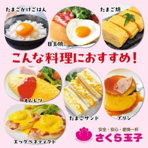 純国産鶏さくらちゃんが産んだ桜色のさくら玉子 五分咲き（Mサイズ）40個 ｜ 卵 鶏卵 たまご タマゴ 生卵 たまごかけご飯 濃厚 甘み 国産